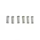 ..Restbestand..Hinson Clutch Spring Kit 6 pieces for Hinson basket Honda CRF 450 09-16