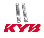 KYB 05 front fork spring