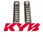 KYB 24 free piston spring