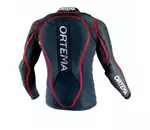 Ortema back protection