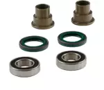 SKF Wheel seal kit