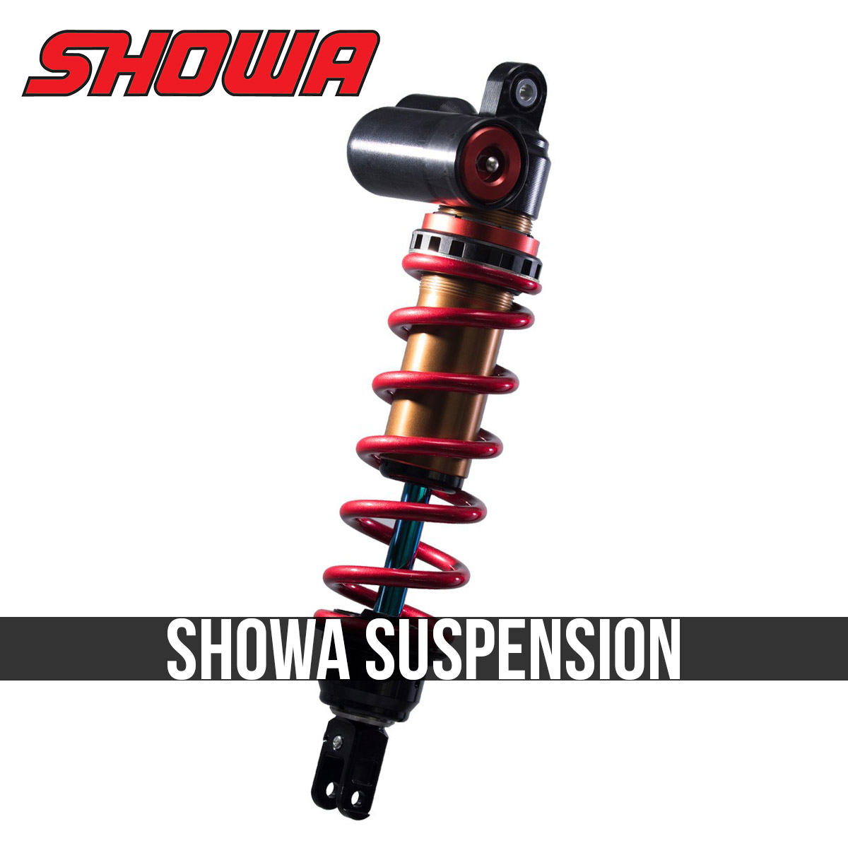 Showa suspension