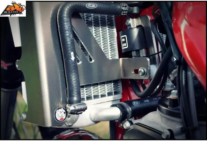 AXP radiator braces Beta 250RR, 300RR 14-16 red