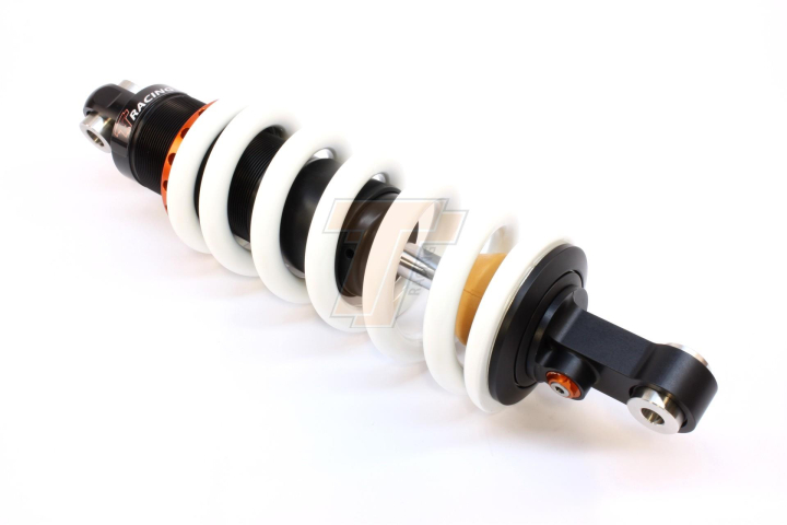 BMW R 1150 GS 1999 - 2003 TracTive Federbein X-CITE Lowered -25mm