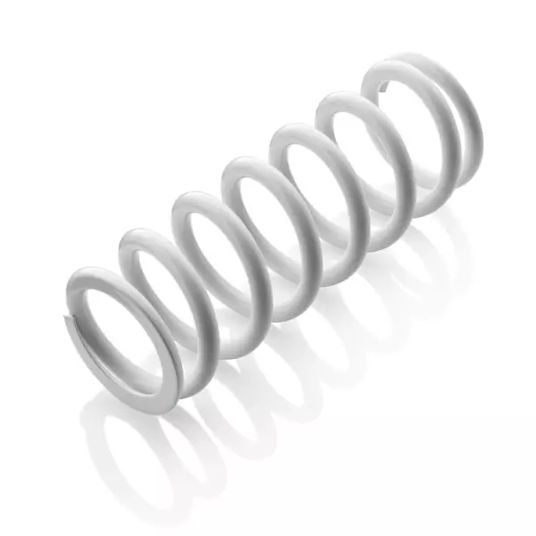WP OEM - FEDER 225MM 69 N/MM
