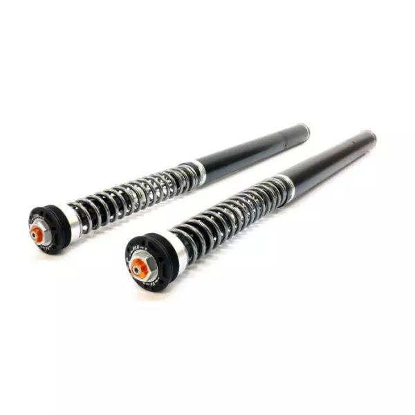 BMW R 12 G/S - TracTive Cartridge kit X-TREME (+30mm)