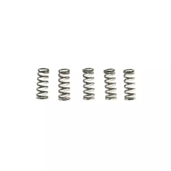 Hinson Kupplungsfedern 5 Stück für Hinson Korb Honda CRF 250R 2018-2026 Hinson Kupplungsfedern 5 Stück für Hinson Korb Honda CRF 250R 2018-2026