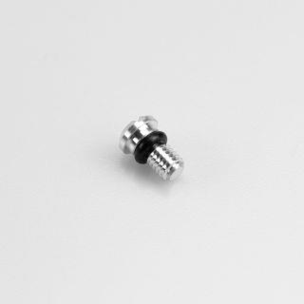 KYB Bleed Bolt Complete with O-Ring
