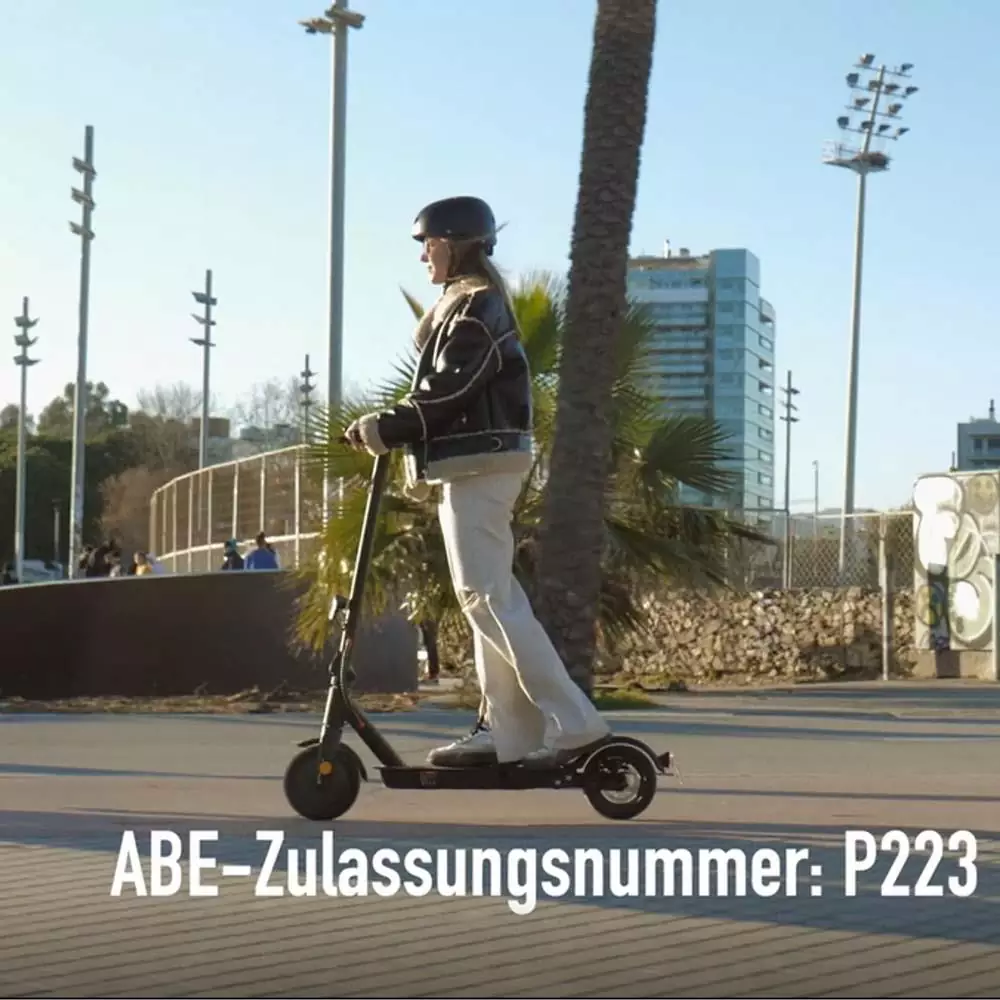 E Scooter mit Straßenzulassung, ABE, StVZO, 350 Watt, 30km