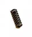 WP Trax springs Link C38 L20