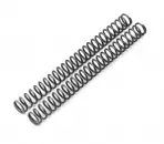 WP OEM - Hauptfeder (43.2) 7.2-485 Set fork