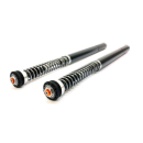 BMW F800GS 2013 - 2018 TracTive Cartridge kit X-TREME