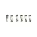 ..Restbestand..Hinson Clutch Spring Kit 6 pieces for Hinson basket Honda CRF 450 09-16